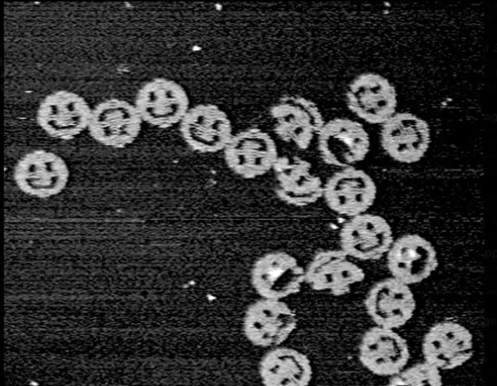 DNA origami by Paul W. K. Rothemund, California Institute of Technology, 2004. 100 nanometers in diameter.