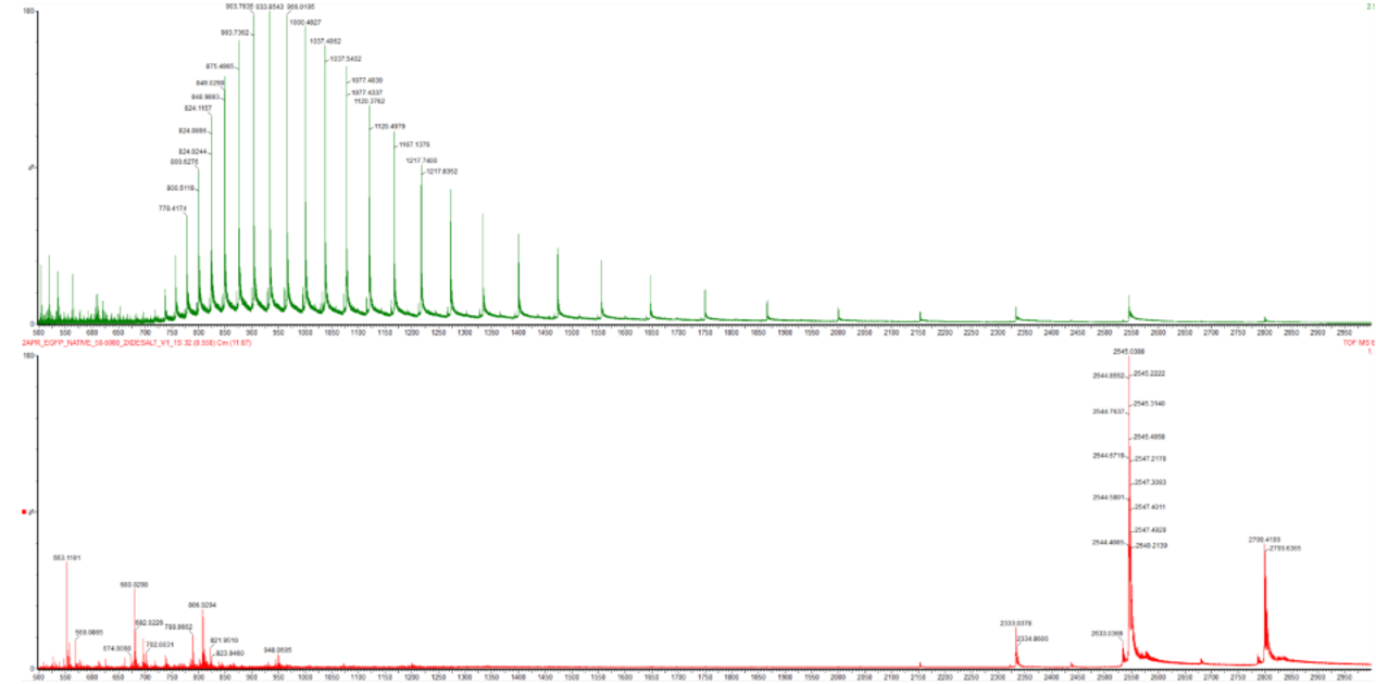 Figure 2.  Comparison of the mass spectra between denatured (top) and native (bottom) eGFP standard on the Waters Xevo G3 QTof MS.